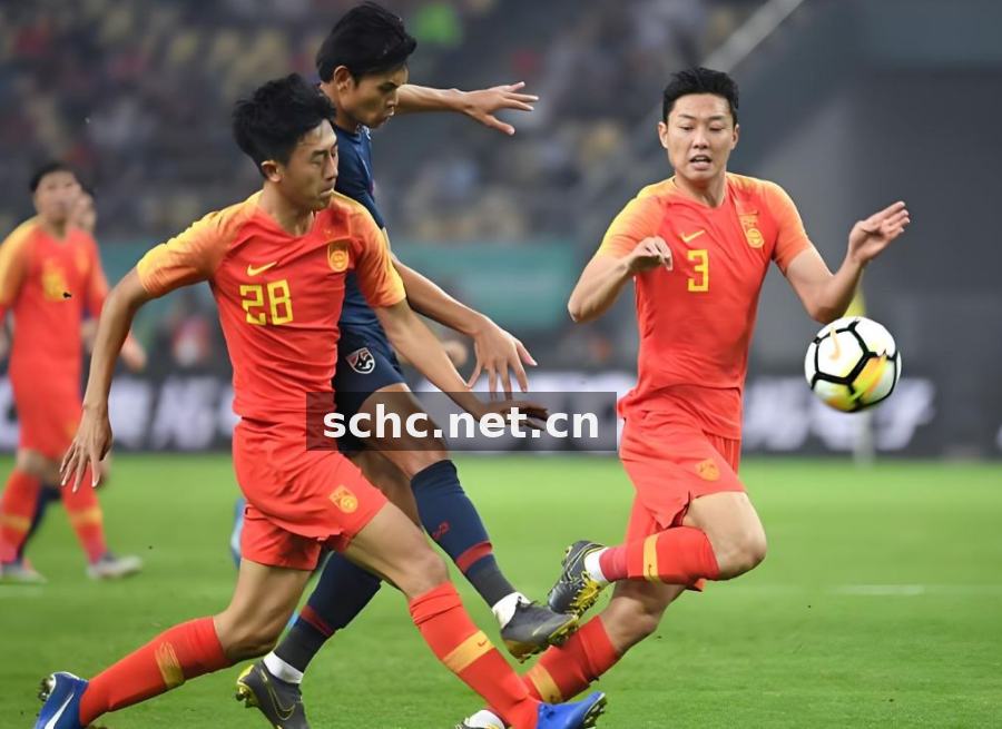 从数据分析师到战术翻译官：一位幕后体育数据人的赛季手记
